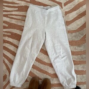 Aritzia cozy fleece sweatpants
